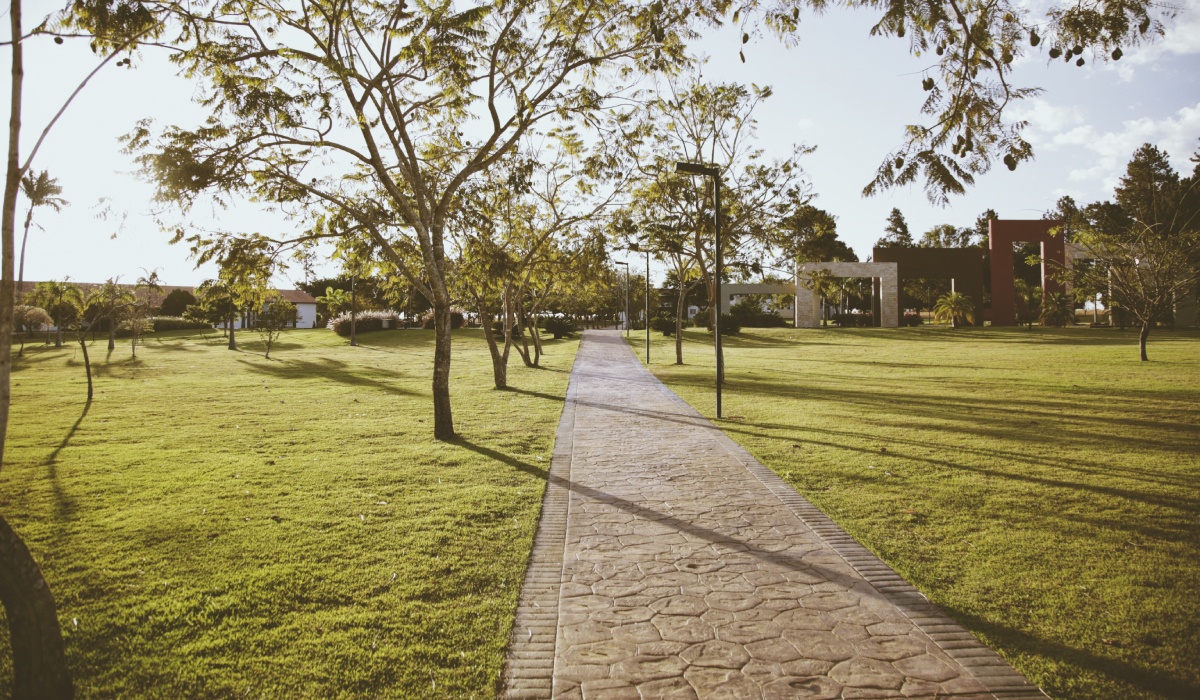 Stamped concrete park pathway with natural stone pattern winding through mature landscaping by SiteWorx Concrete